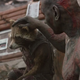 Imagen para el artículo titulado Nunca verás igual a Rocket Raccoon después de ver cómo grabaron sus escenas en Avengers: Endgame